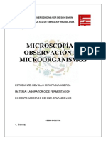 Microscopia y Observación de Microorganismos
