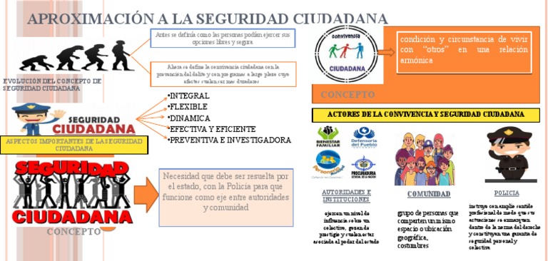 Evolución y actores de la seguridad ciudadana | PDF | Seguridad | Policía