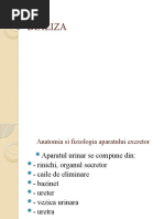 dializa