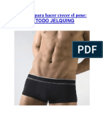 pdf-pene.pdf