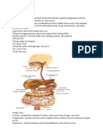 Translate Patofis Digestive