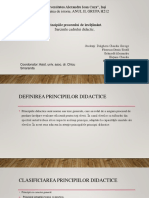 PROiect PDF