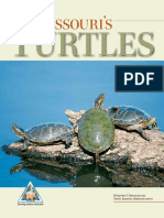 Missouris Turtles