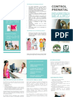 Folleto Control Prenatal