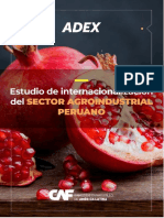 Estudio de Mercado Sector Agroindustrial Adex Caf 2020 PDF