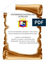 Calor Especifico PDF