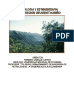 Geologia y Estraitigrafia de La Region Giradot-Nariño