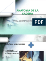 PDF 001 Encerado Diagnostico - Compress