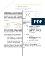 GUIA DE ESTUDIO SESION 02-ORG.pdf