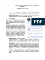 LINEAMIENTOS DE PRACTICA PROFESIONAL PROGRAMA DE PSICOLOGIA (1) (1)