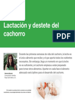 AV_30_Lactacion_destete_cachorro.pdf