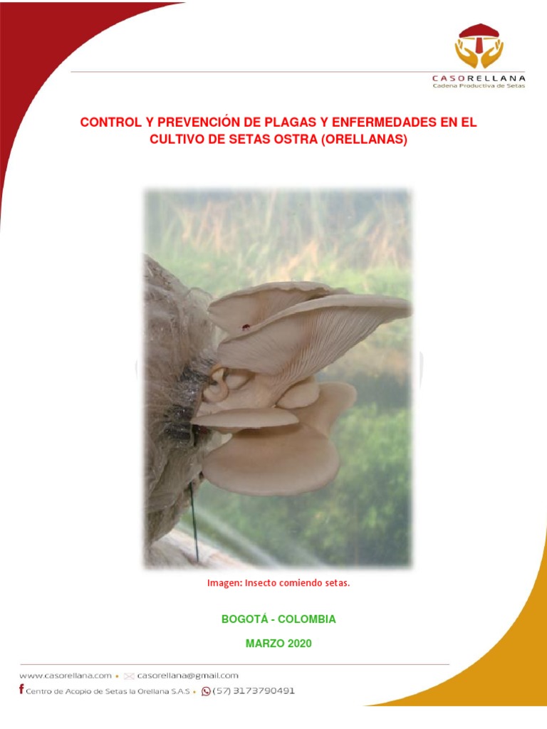 Control de Plagas y Enfermedades | PDF | Insectos | Plaga (organismo)