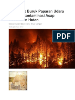 5 Dampak Buruk Paparan Udara Yang Terkontaminasi Asap Kebakaran Hutan