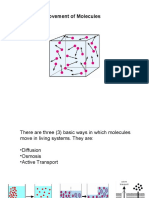 Diffusion PPT TG Update