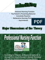 Professional Nursing Function - The Patient's Presenting Behavior - Immediate Reaction - Deliberative Nursing Process - Improvement