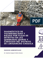 Vulnerabilidad y Riesgo Por Flujo de Detritos en Las Quebradas Quirio y Carossio