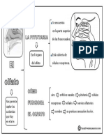 Resumen Mapa Conceptual Del Olfato PDF