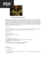 Download beluntas by ibnu sabil SN4907979 doc pdf