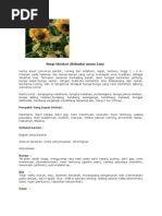 Download bunga matahari by ibnu sabil SN4907992 doc pdf
