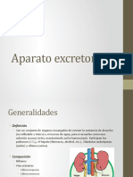 Aparato excretor.pptx