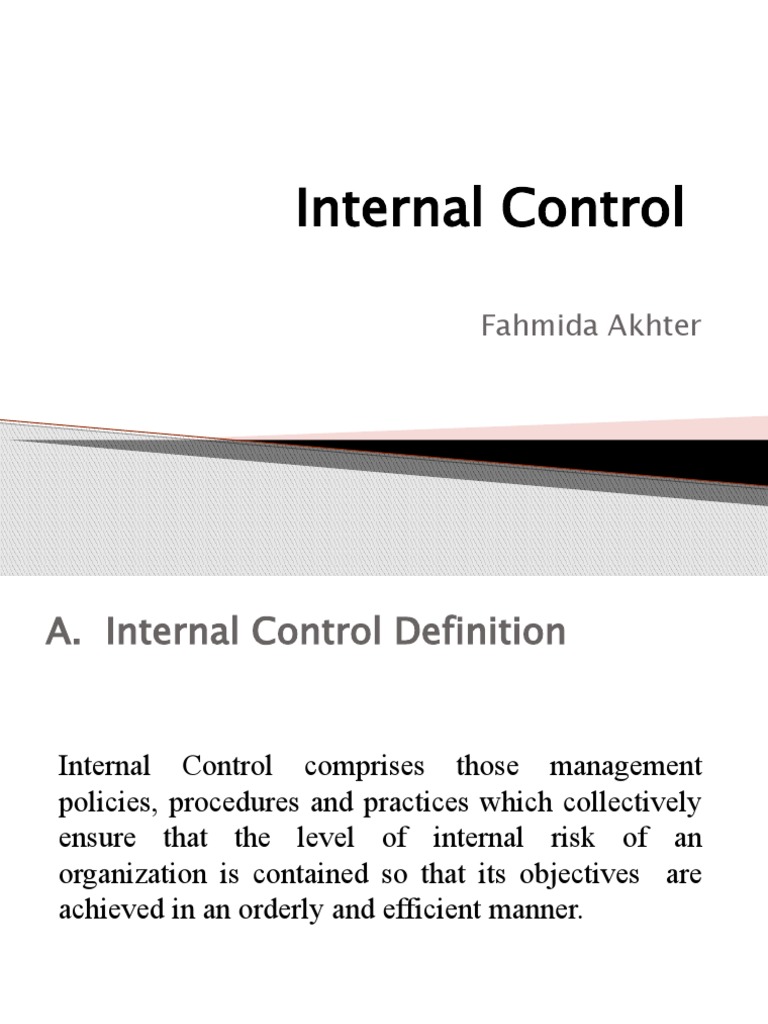 Internal Control System Guide | PDF | Internal Control | Internal Audit