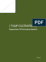 Tulip Cultivation.pdf