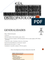 Biología, Biomecánica Del Hueso y Nociones Básicas de Osteopatología