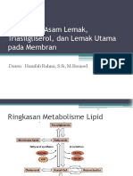 Biosintesis Asam Lemak, Triasilgliserol, Dan Lemak