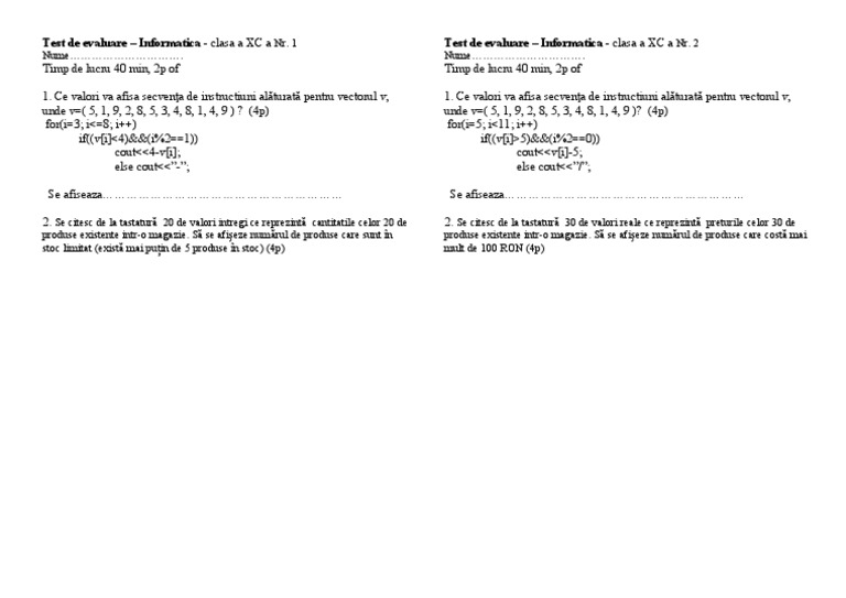 Test de Evaluare Clasa A X A Vectori C++ | PDF