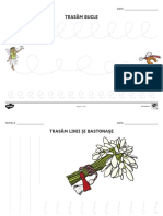 ro-t-t-17338-primavara-fisa-elemente-grafice.pdf