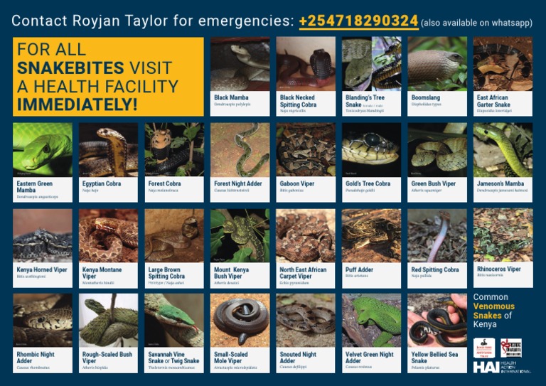 types of venomous snakes in kenya