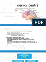 Sistemul Nervos Central