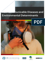 Non - Communicable Diseases and Environmental Determinants