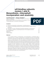 Chlorophyll-Binding Subunits of Photosystem I and II: Biosynthesis, Chlorophyll Incorporation and Assembly