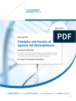 Principles and Practice of Agarose Gel Electrophoresis: Edvo-Kit #101