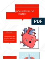 Partes internas del cuerpo: corazón, pulmones, cerebro y sentidos