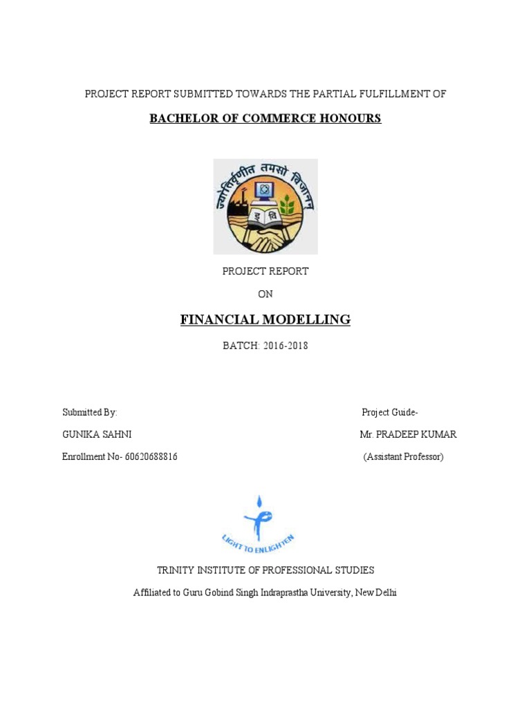 Bachelor of Commerce Honours Financial Modelling PDF Internal Rate