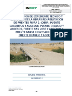 Puente Braulio Informe Nº02