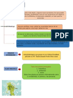 Caracteristicas S.E