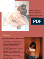 El Parto Psicologia Evoly I