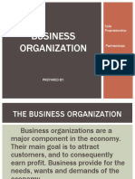Business Organization: Sole Proprietorship