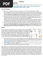 Bitcoin Prospectus PDF