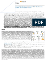 Bitcoin Prospectus PDF