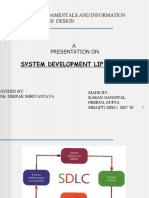 System Development Life Cycle: It Fundamentals and Information Systems Design