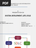 System Development Life Cycle: It Fundamentals and Information Systems Design