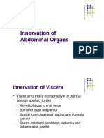 Innervation of Abdominal Organs