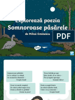 DLC 106 Exploreaza Poezia Somnoroase Pasarele Prezentare Powerpoint - Ver - 1