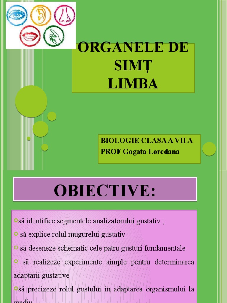 A VII-A Organele de Simt | PDF