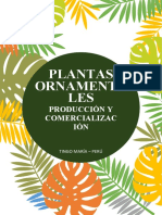 Proyecto Plantas Ornamentales