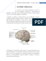 El Sistema Nervioso